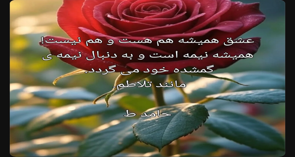 Love Is