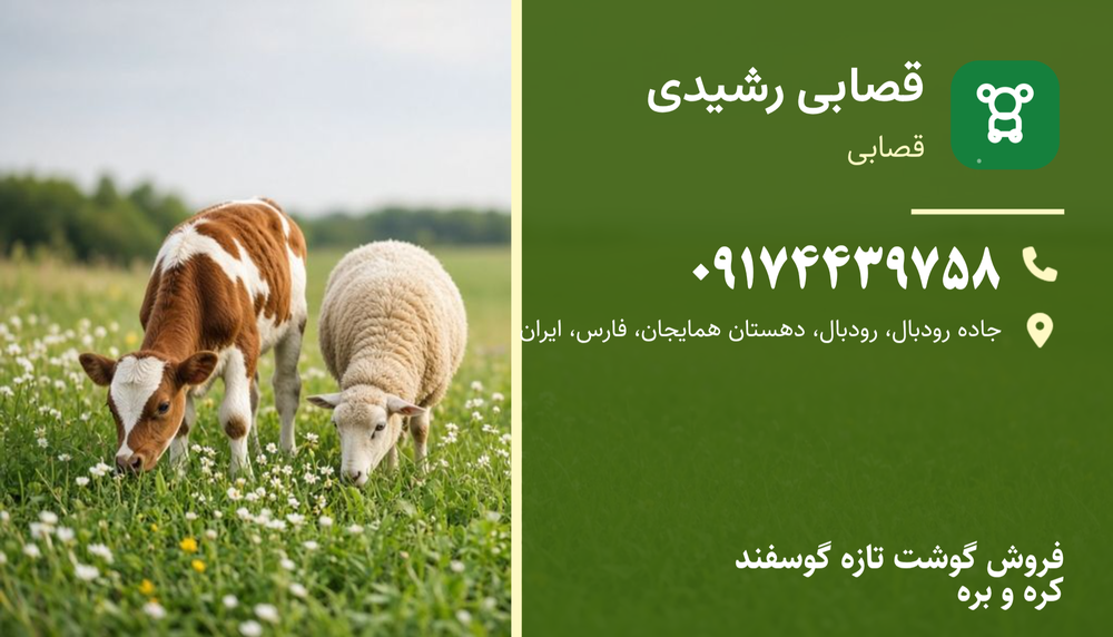 قصابی رشیدی