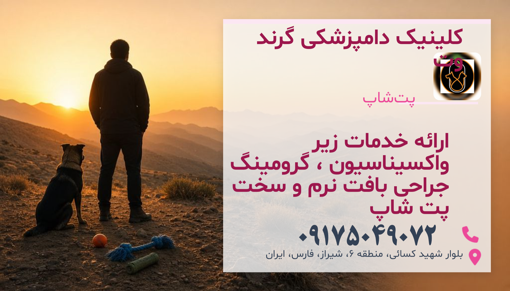 کلینک